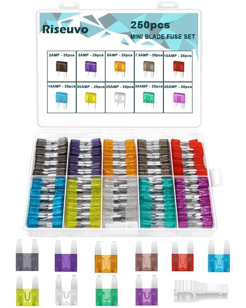 Riseuvo 250 Pcs Mini Fuse Kit - Automotive ATM Blade Fuses Assortment Kit for Cars, Trucks, RVs and Motorcycles with Fuse Puller (2A 3A 5A 7.5A 10A 15A 20A 25A 30A 35A) - Image 1